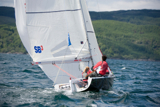 the wilderbeest III gbr3516 ss12 sun 2890